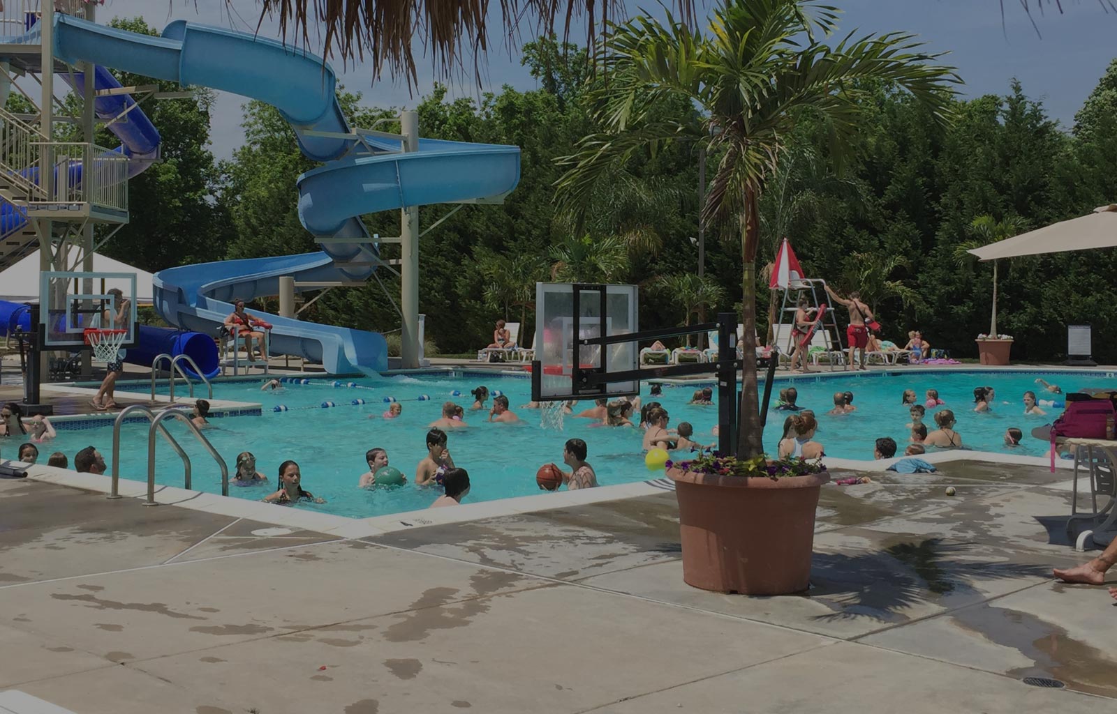 Aquatic-Programs-BG.jpg