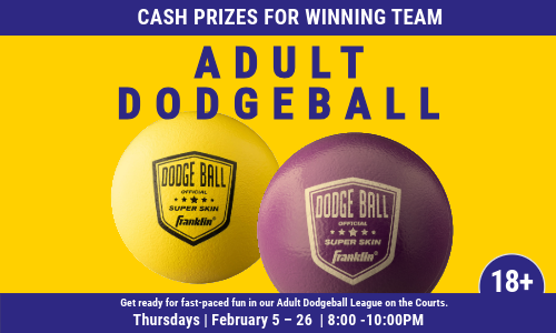 AC_Dodgeball-2026-500x300px-Eventcard