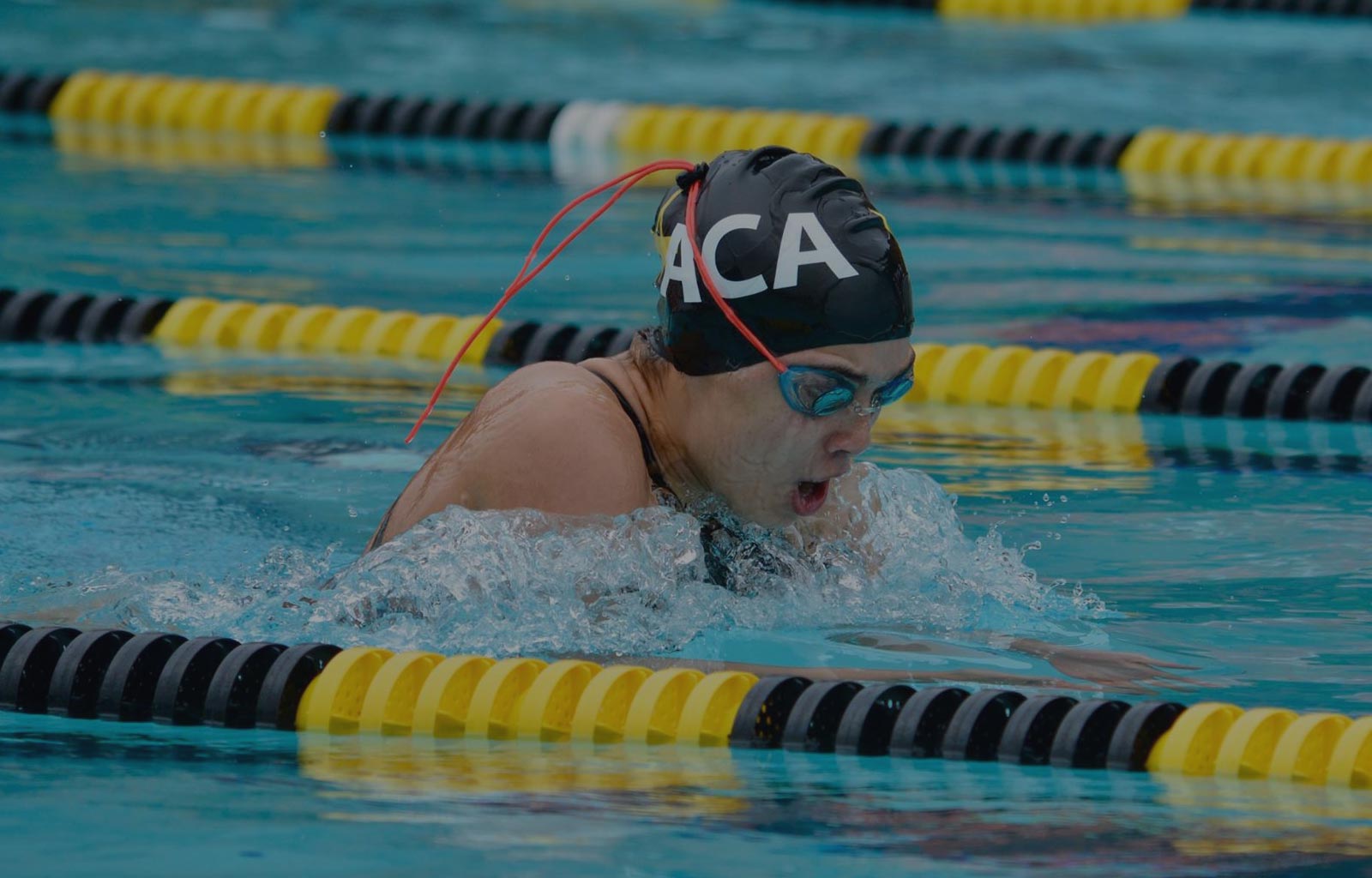 Swimmer in lap lane