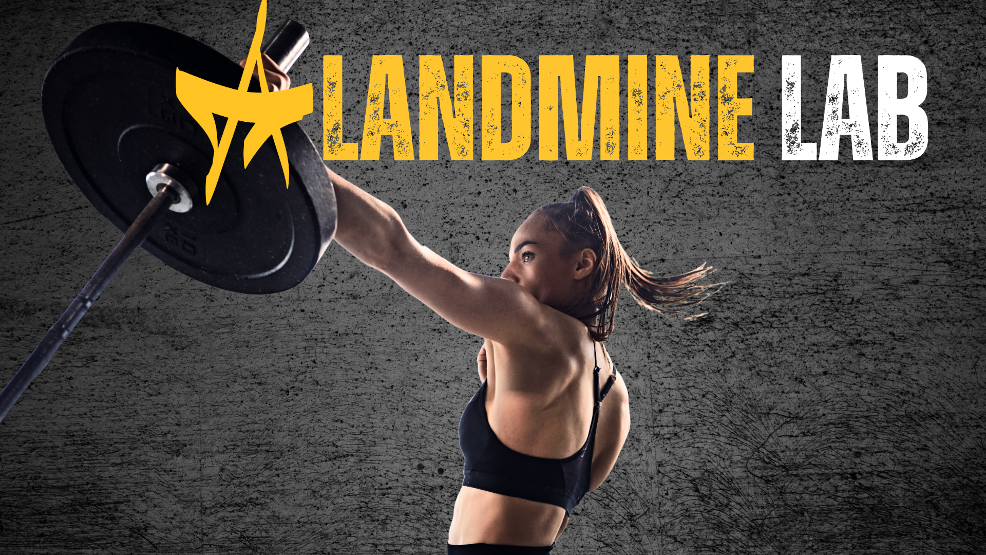 OptiSigns Template - 2026-02-04T095722.557